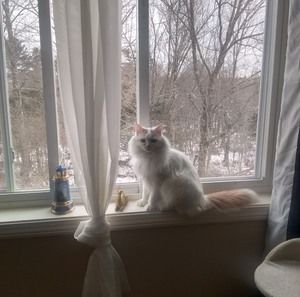 Meet your Posher, Donna